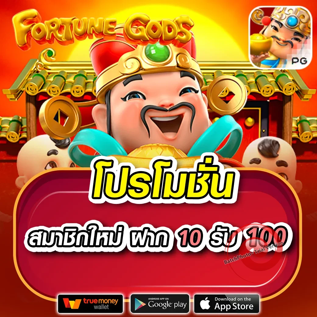 3dbet slot